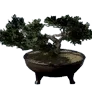 [Manor] Leaning Potted Tree icon