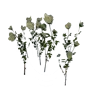 [Manor] White Rose Bush icon