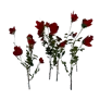 [Manor] Red Rose Bush icon