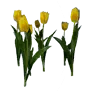 [Manor] Yellow Tulips icon