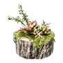 Charbonneau Succulent icon