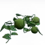 [Manor] Pleasantly Plump Gourd Vine icon