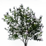 [Manor] Village Mugunghwa icon
