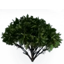 [Manor] Village Small Pine Tree icon