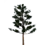 [Manor] Blue Pine Tree icon