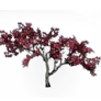 [Manor] Pink Maehwa Tree icon