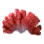 Red Coral icon