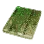 Small Tree Plywood icon