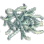 Bunch of Dry Mane Grass icon
