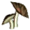 Big Tiger Mushroom icon