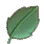 Insectivore Plant Leaf icon