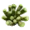 Penestraria icon