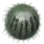 Toxic Watermelon icon