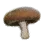 Bouquet Mushroom icon