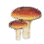 Leccinum icon