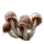 Eyelash Cup icon