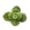Desert Herb icon