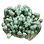 Bunch of Penestraria icon