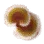 Youngji Mushroom icon