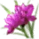 Purple Pink Flower icon
