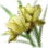 Yellow Flower icon