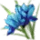 Blue Flower icon