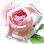 High-quality Delotia icon