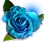 Special Delotia icon