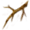 Twig icon