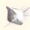 Brilliant Pearl Shard icon