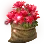 Scarlet Rosebay Sack icon