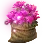 Pink Rosebay Sack icon