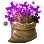 Viola Sack icon