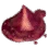 Trace of Savagery icon