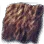 Fine Fancy Reptile Skin icon