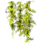 Kelp icon