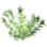 Tangleweed icon