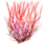Agar icon