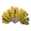 Golden Coral icon