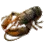 Lobster icon