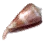 Cone Snail icon
