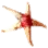 Five-Star Starfish icon