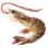 Krill Shrimp icon