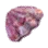 Tridana Giant Clam Shell icon
