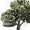 Olive Seed icon