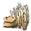 High-quality Wheat Seed icon