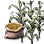 Corn Seed icon
