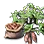 High-quality Seed Sweet Potato icon