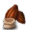 [Event] Cacao Seed icon