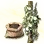 Mysterious Pepper Seed icon